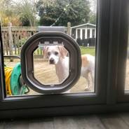 Dog Flap Fitter Liverpool